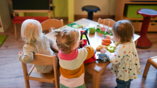 FDP nennt 5000 neue Stellen f&uuml;r Kindergrundsicherung "abwegig"