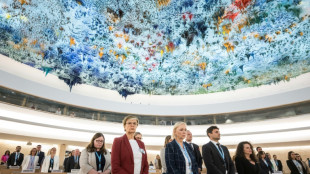 UN Human Rights Council prolongs Russia monitoring