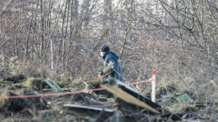 Crash d'un avion cargo de DHL en Lituanie: les boites noires retrouv&eacute;es 
