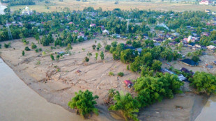 C&oacute;mo la deforestaci&oacute;n empeor&oacute; las inundaciones en Indonesia