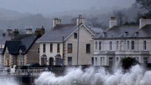 Sturm "Eowyn" richtet in Irland und Gro&szlig;britannien Verw&uuml;stungen an - Ein Toter