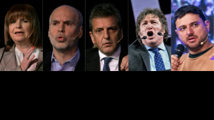 &iquest;Qui&eacute;n quiere ser presidente de Argentina?