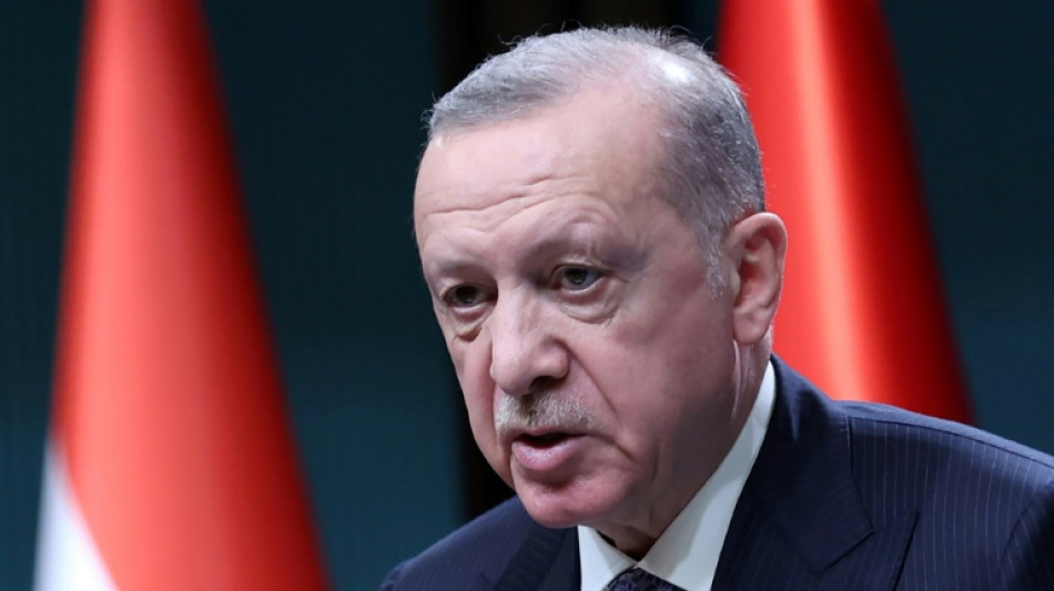 Erdogan viaja a Kiev para intentar una mediaci&oacute;n sin ofender a Putin