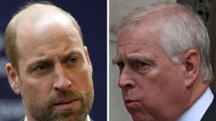 Los pr&iacute;ncipes Guillermo y Catalina, "profundamente preocupados" por el caso Epstein