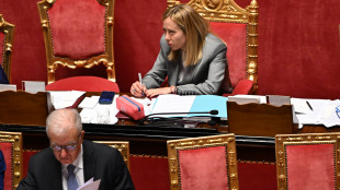 Meloni, possibili divisioni in Iran, fiduciosi nella tregua