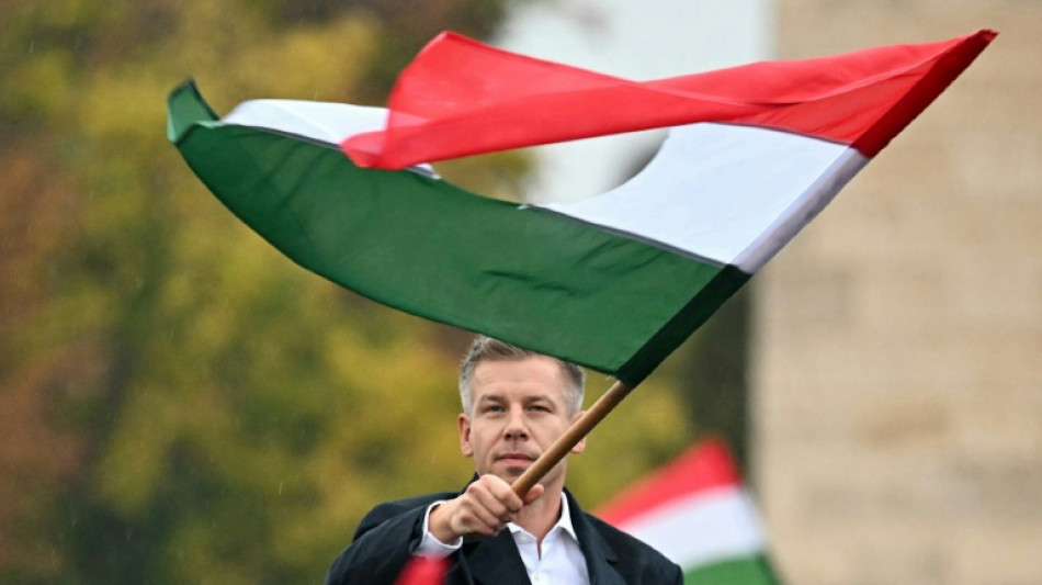 Hongrie: Peter Magyar arrive au pouvoir avec la promesse d'un changement de r&eacute;gime