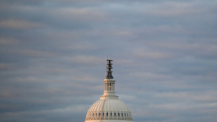 Split US Congress quarrels over new aid to Israel and Ukraine