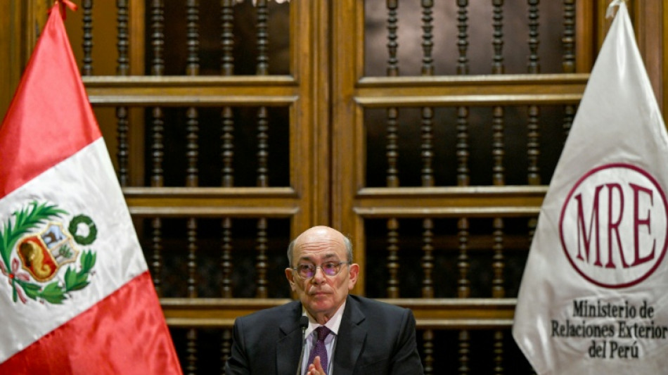 La UE enviar&aacute; una misi&oacute;n de observadores a las elecciones generales de Per&uacute;