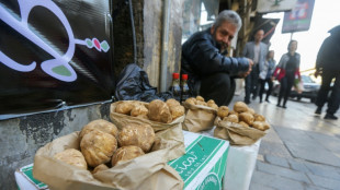 Ocho recolectores de trufas mueren en Siria por explosi&oacute;n de mina antipersona