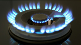 Gas-Kommission schl&auml;gt zus&auml;tzlichen Hilfsfonds f&uuml;r bed&uuml;rftige Haushalte vor