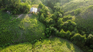 Tibu, violent 'no-man's land' hosting Colombian peace talks