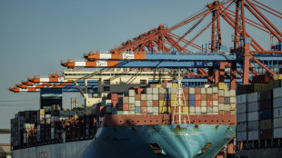 Gr&uuml;ne fordern sch&auml;rfere Regeln f&uuml;r ausl&auml;ndische &Uuml;bernahmen