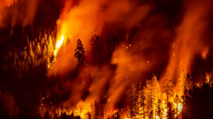 Au Canada, d'inquiétants feux de forêts se rapprochent de deux villes