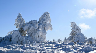 Landwirte k&ouml;nnen mit K&auml;lteeinbruch und Schneesturm gut leben