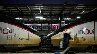 Gr&egrave;ve &agrave; la SNCF: les d&eacute;parts de No&euml;l perturb&eacute;s, l'espoir d'un accord pour le Nouvel An
