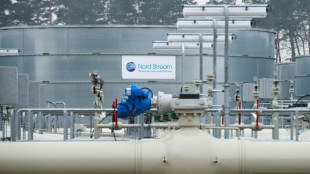 Chemische Industrie warnt vor Auswirkungen erneuter K&uuml;rzung russischer Gaslieferungen