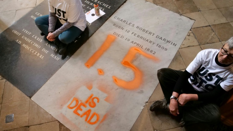 Umweltaktivisten bespr&uuml;hen Grab von ber&uuml;hmtem Naturforscher Darwin in London