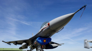 La OTAN inicia en Alemania el mayor ejercicio a&eacute;reo de su historia 