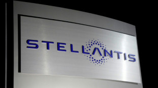 Nouveau record en 2023 pour Stellantis avec un b&eacute;n&eacute;fice net de 18,6 milliards d'euros