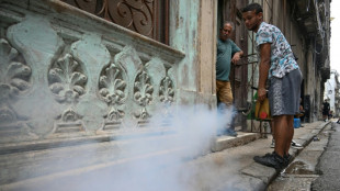 Suman 29 los menores fallecidos en Cuba por dengue y chikungu&ntilde;a