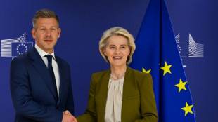 Le Hongrois Magyar &agrave; Bruxelles pour r&eacute;cup&eacute;rer des milliards d'euros