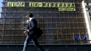 Las negociaciones por el acuerdo UE-Mercosur entran en su fase decisiva