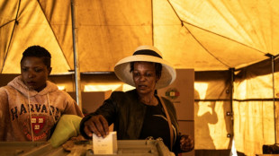 Zimbabwe votes in high-stake poll as 'Crocodile' leader seeks new term