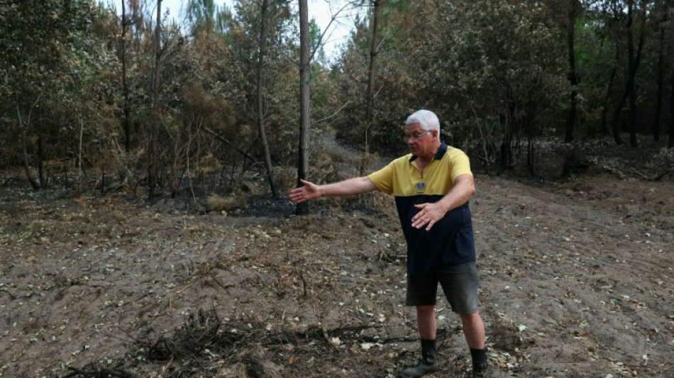 Les propri&eacute;taires de la parcelle d'o&ugrave; est parti le m&eacute;gafeu de Gironde r&eacute;clament justice