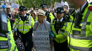 Erneut Festnahmen bei Protest für verbotene pro-palästinensische Gruppe in London
