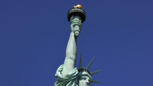 Jewish New Yorkers occupy Statue of Liberty to demand Gaza ceasefire