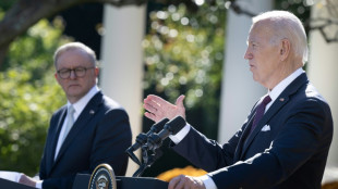 Biden says Israel must do 'everything' to protect civilians