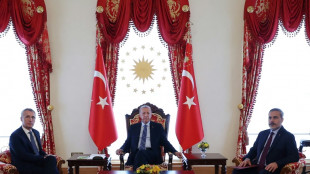 Erdogan dampens hopes of Sweden joining NATO in July