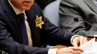 Israel envoy wears yellow star at UN, drawing Yad Vashem criticism