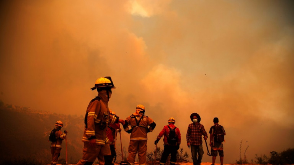 Mindestens 46 Tote bei Waldbr&auml;nden in Chile