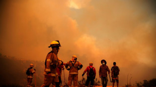 Mindestens 46 Tote bei Waldbr&auml;nden in Chile