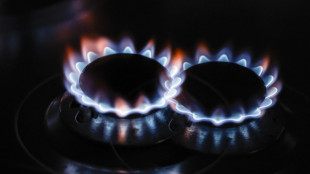 Il gas chiude in ribasso sopra i 50 euro sulla piazza di Amsterdam