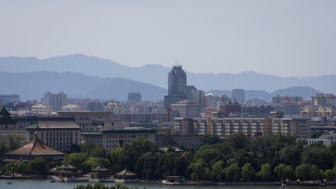 Cina, accelerato l'esame di licenze su export delle terre rare