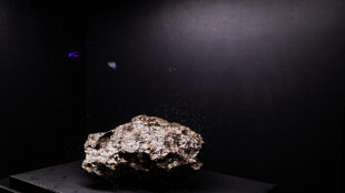 Da un meteorite gli indizi di un pianeta perduto del Sistema Solare