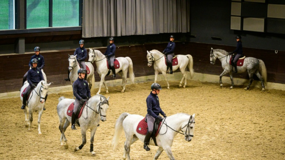 Criadores de caballos lipizzanos celebran su inclusi&oacute;n en la lista de la UNESCO