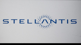 Foxconn y Stellantis crean una empresa mixta para producir chips para autom&oacute;viles