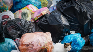 Plastic Free, tolleranza zero per chi getta rifiuti da auto