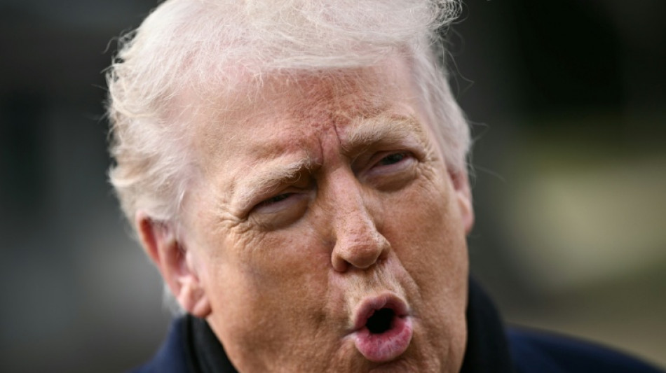 Groenland: Trump indigne les Europ&eacute;ens, menac&eacute;s de surtaxes douani&egrave;res