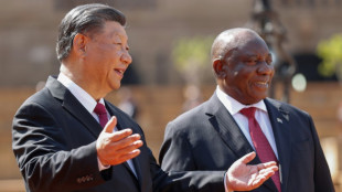 BRICS summit of emerging economies begins in South Africa