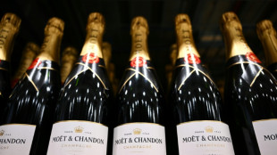 Trump amea&ccedil;a taxar vinhos franceses em 100% devido ao imposto digital