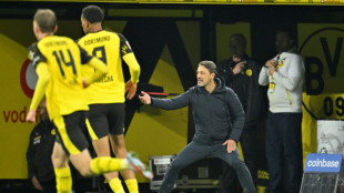 Allemagne: Niko Kovac, stabilisateur du Borussia Dortmund