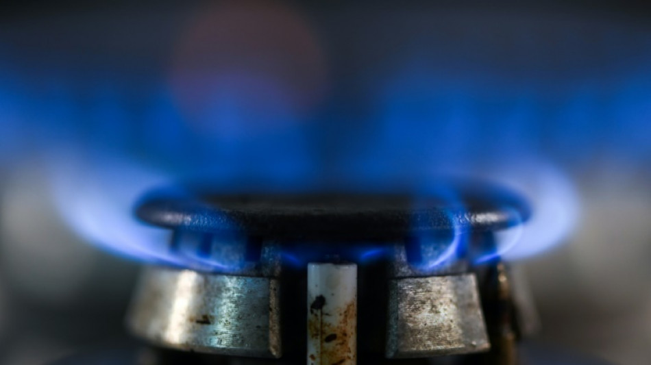 EU-Parlament bef&uuml;rwortet Auff&uuml;llen der Gasspeicher zu 80 Prozent