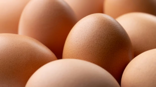 L'interprofession des oeufs s'inquiète d'importations d'Ukraine par les distributeurs