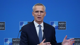 Nato-Chef: Europ&auml;ische Wirtschaft st&auml;rker auf Waffenproduktion ausrichten 