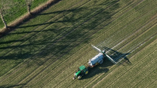 Ce que contient le projet de loi d'urgence agricole modifi&eacute; par l'Assembl&eacute;e