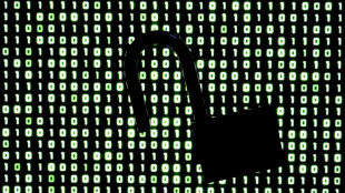 Sites internet ferm&eacute;s : des failles dans PHP, "colonne vert&eacute;brale du web"